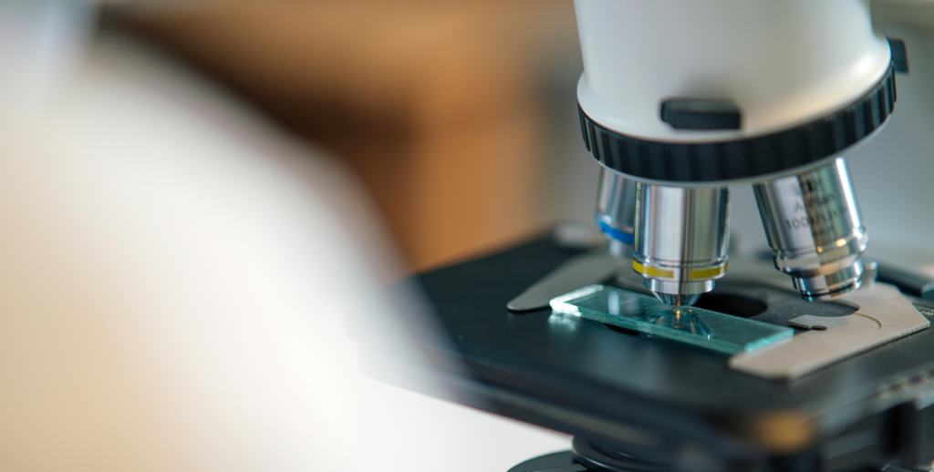 Sunset in the mountains