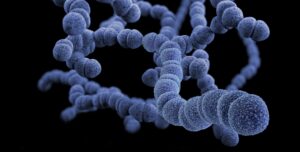 Ureaplasma vs Mycoplasma: which is it?