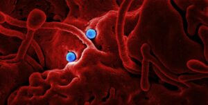 Sunset in the mountains