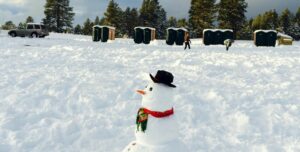 What is “snowmanning”, and how is it related to STIs?